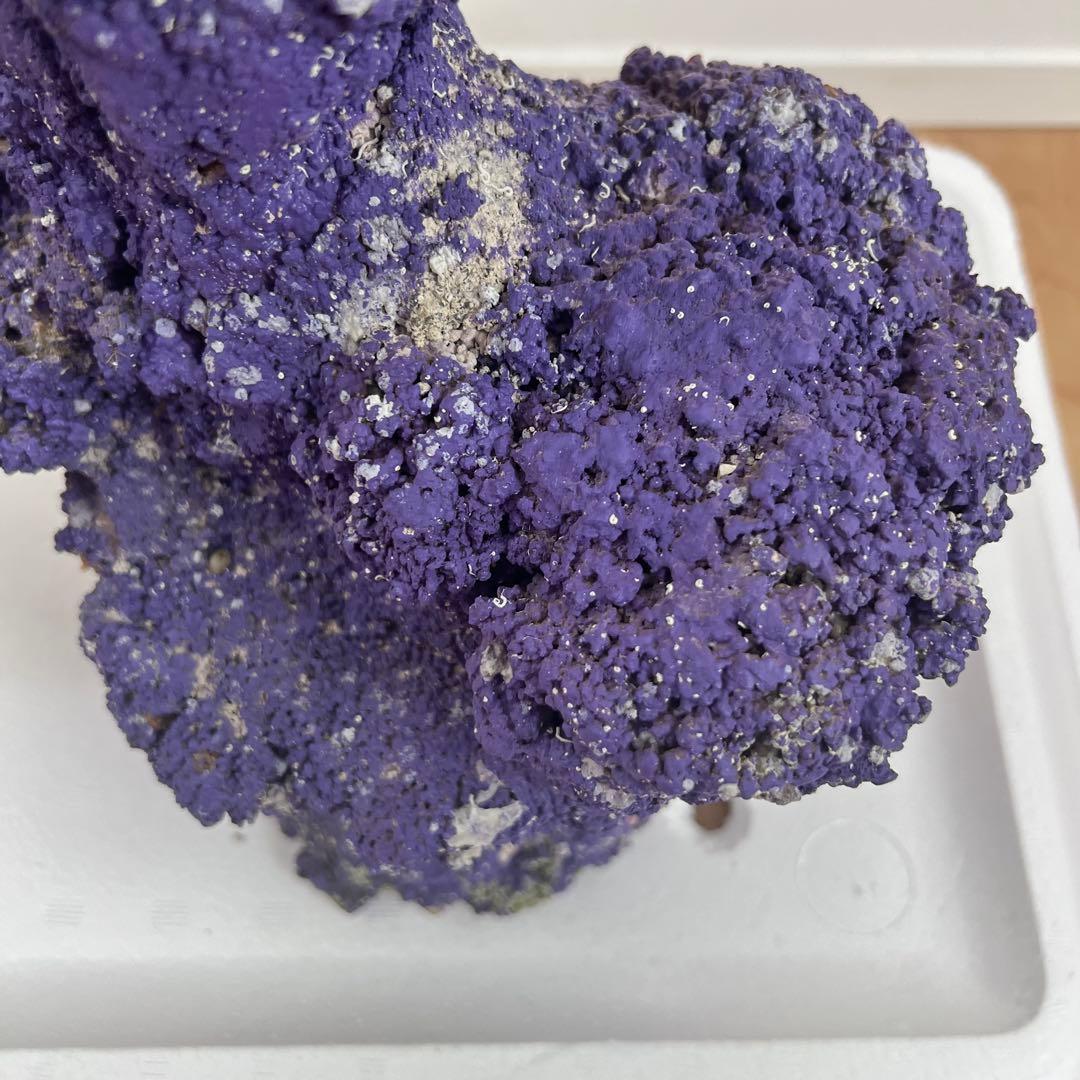 人口ライブロック 偽岩 レプリカライブロック サンゴ 人口 海水 水槽 ②