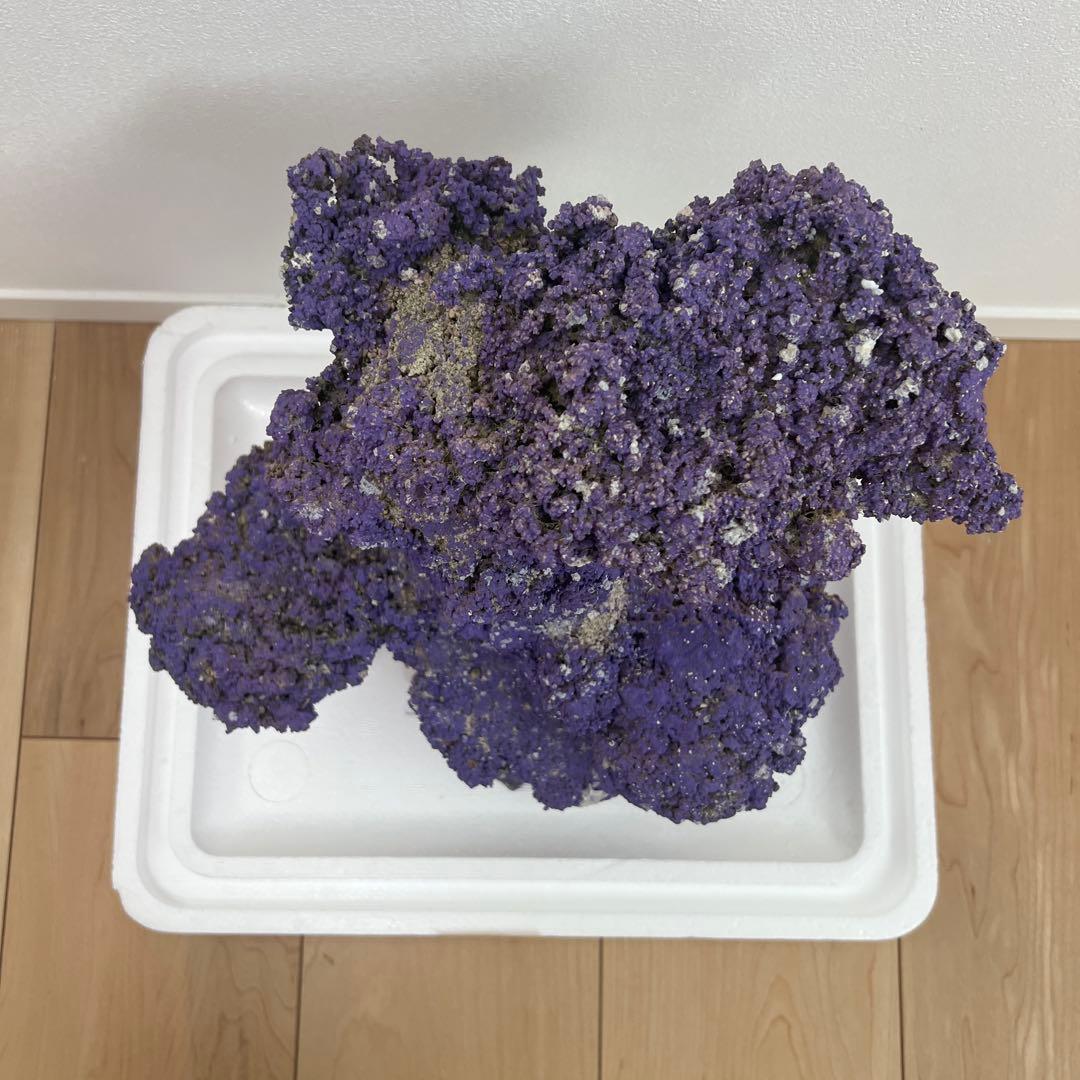 人口ライブロック 偽岩 レプリカライブロック サンゴ 人口 海水 水槽 ②