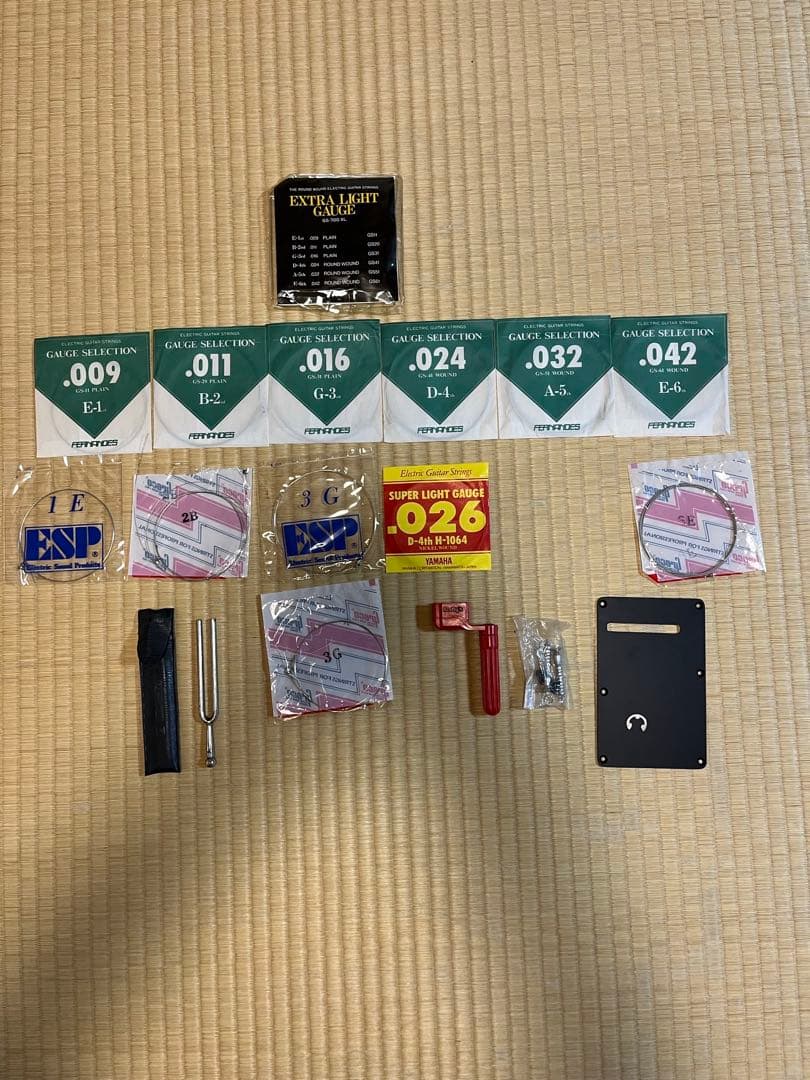 FERNANDES (フェルナンデス) ブラッドギルスモデル