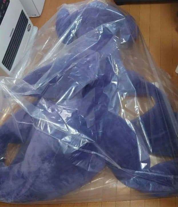 【商品名】大きなガブリアスクッション