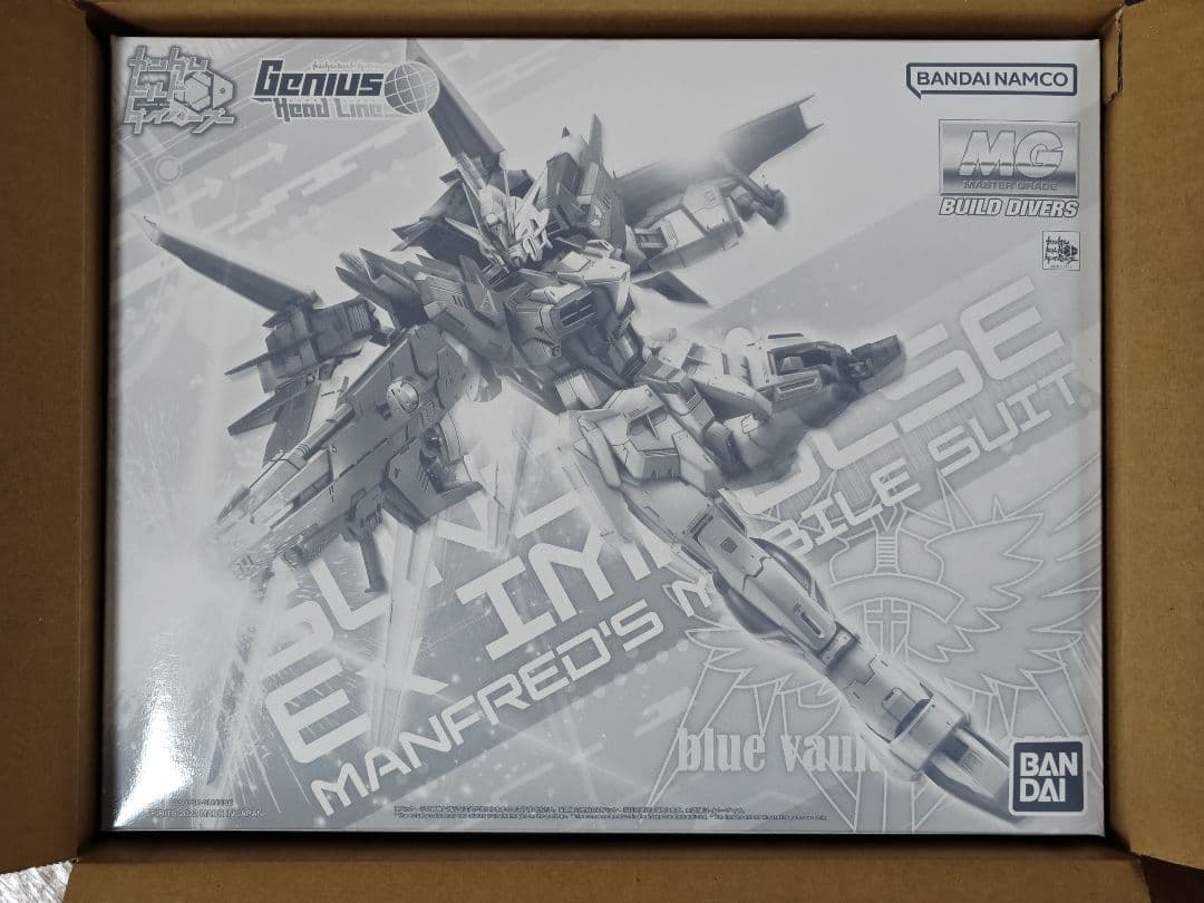 ガンプラ　ガンダムビルドダイバーズMG