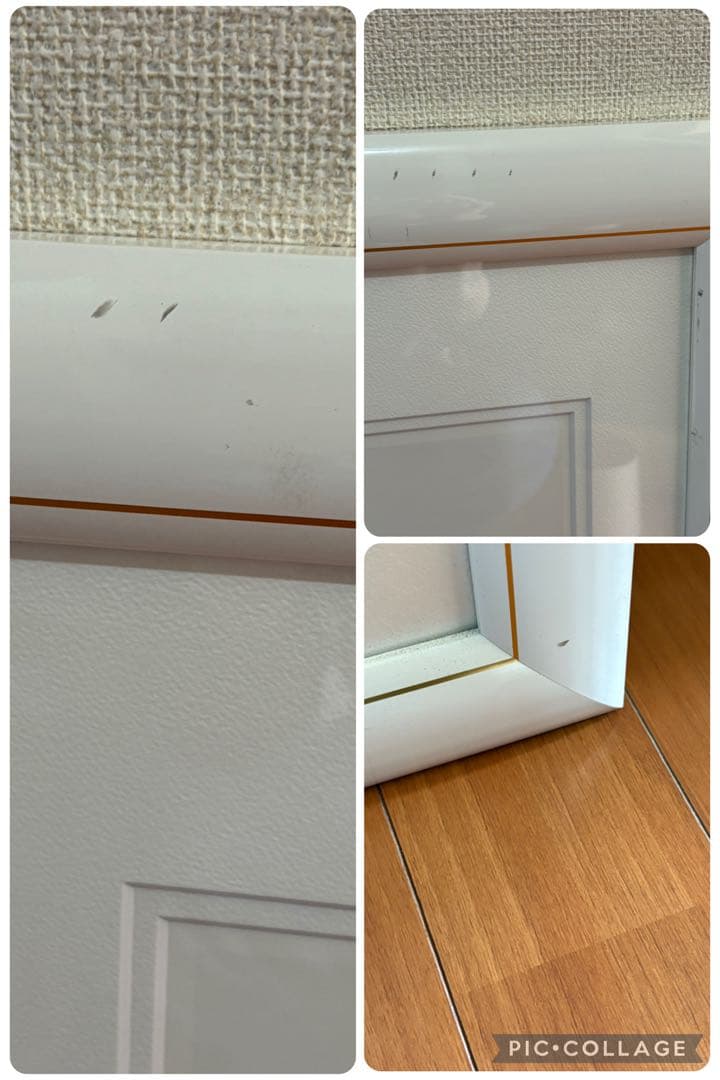 中島潔「トビウオ」レフグラフファイン版画 直筆サイン 管理A3731 証明シール