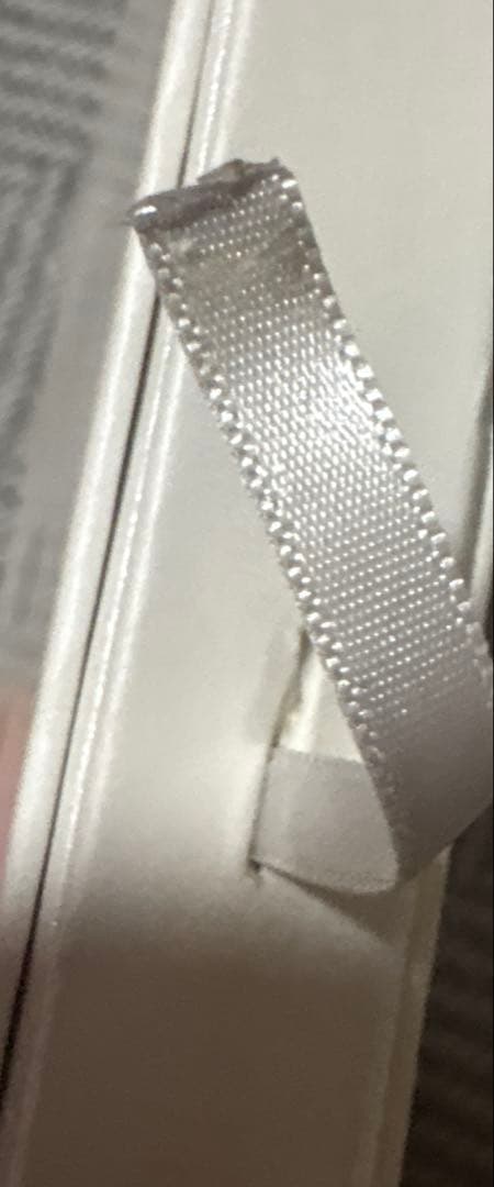 レア 元EXO タオ 黄子韬 MCM チェキ 中国100名限定ポラロイド