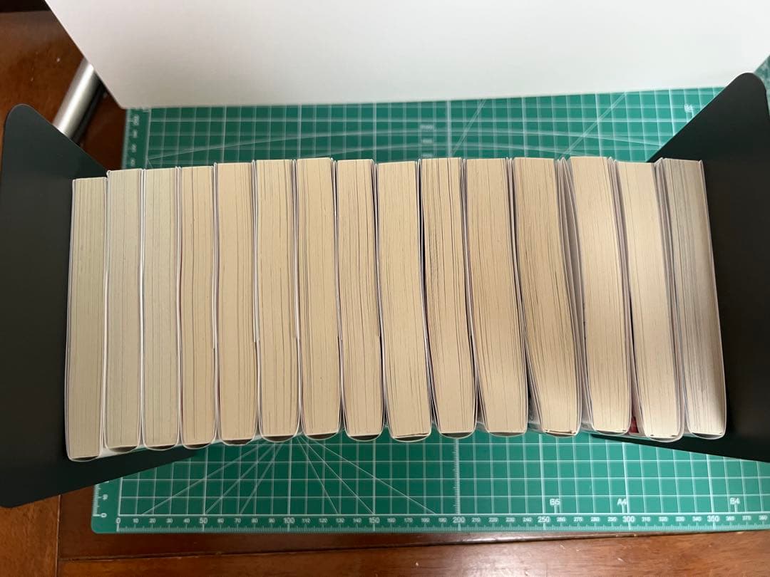 義姉生活 全巻セット