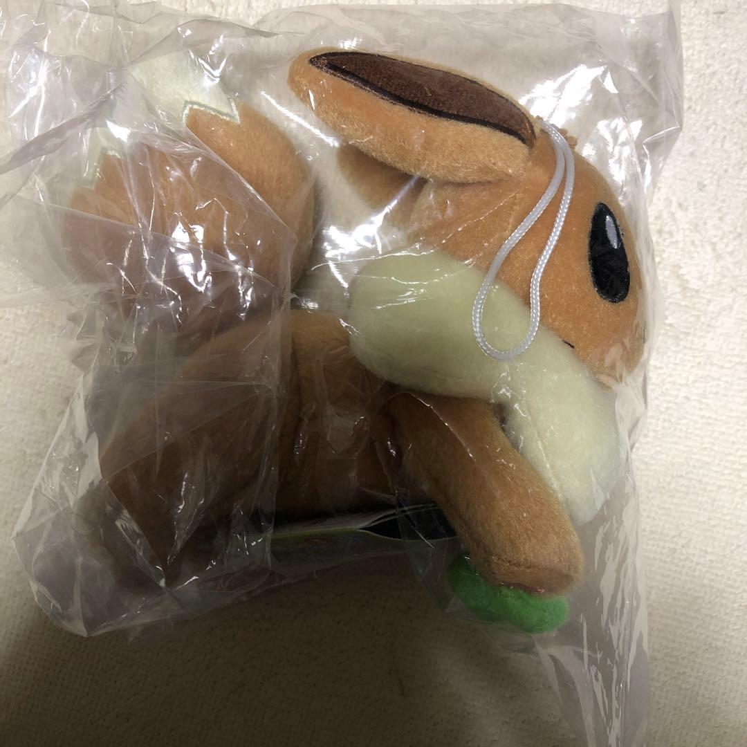 テスト出品です