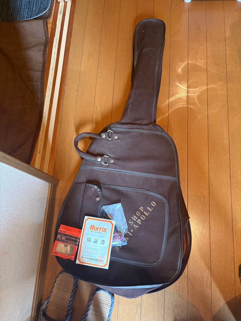 Morris アコースティックギター WJ-50 アリス 堀内孝雄