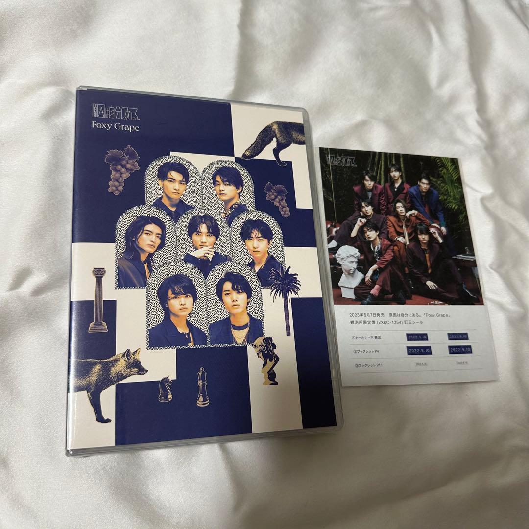 【新品未開封】 原因は自分にある。 Foxy Grape 観測所限定盤
