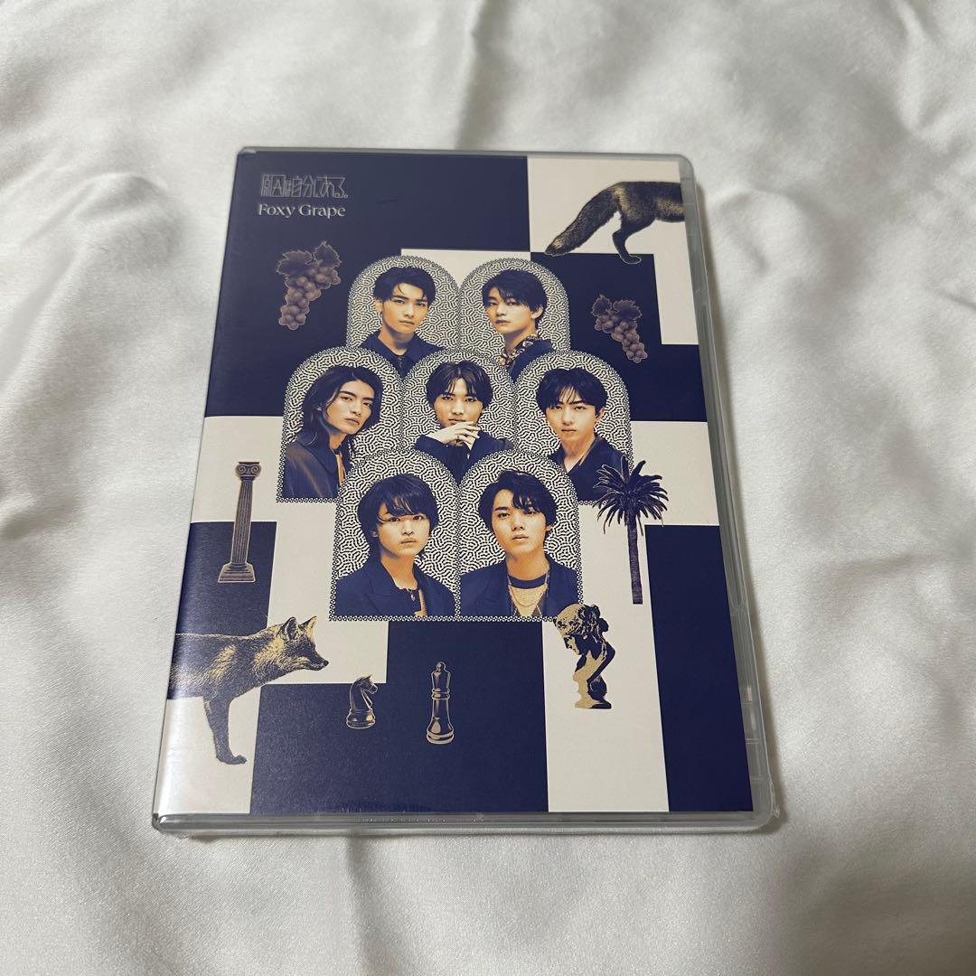【新品未開封】 原因は自分にある。 Foxy Grape 観測所限定盤