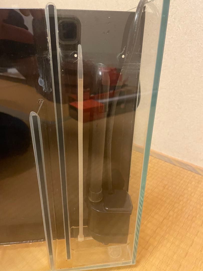 背面フローガラス水槽