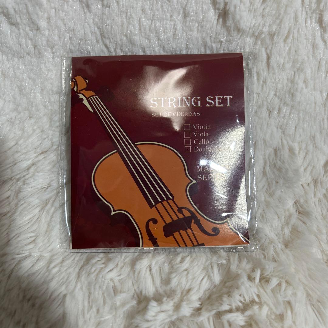 【美品】Hallstatt ハルシュタット V-12 4/4 バイオリンセット