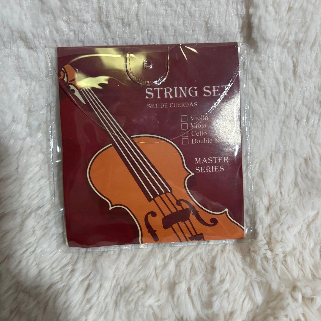 【美品】Hallstatt ハルシュタット V-12 4/4 バイオリンセット