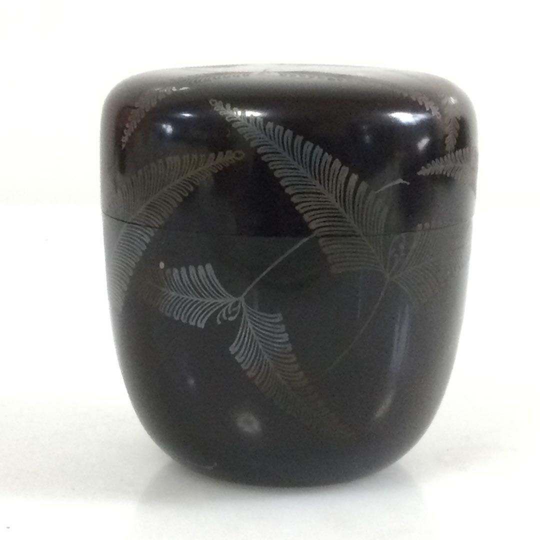 羊歯葉蒔絵棗 木製真塗 銘無し 茶道具 シダ植物 T707