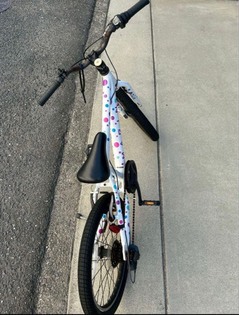 【20インチ】MARIN 2019年モデル DONKY Jr ドット 子供用