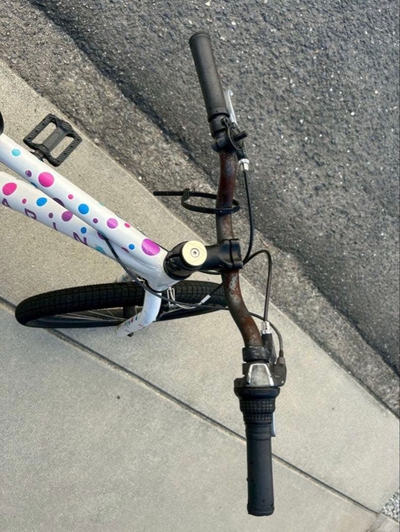 【20インチ】MARIN 2019年モデル DONKY Jr ドット 子供用