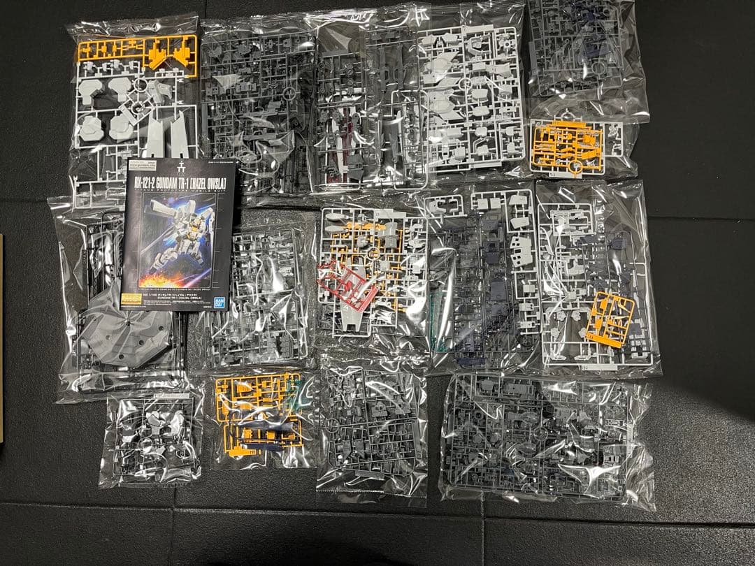 ＭＧ 1/100 ガンダムＴＲ-１［ヘイズルアウスラ］