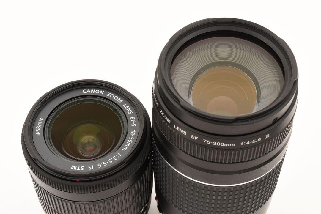 保証付き/Canon EOS 80D 標準&望遠ダブルレンズセット