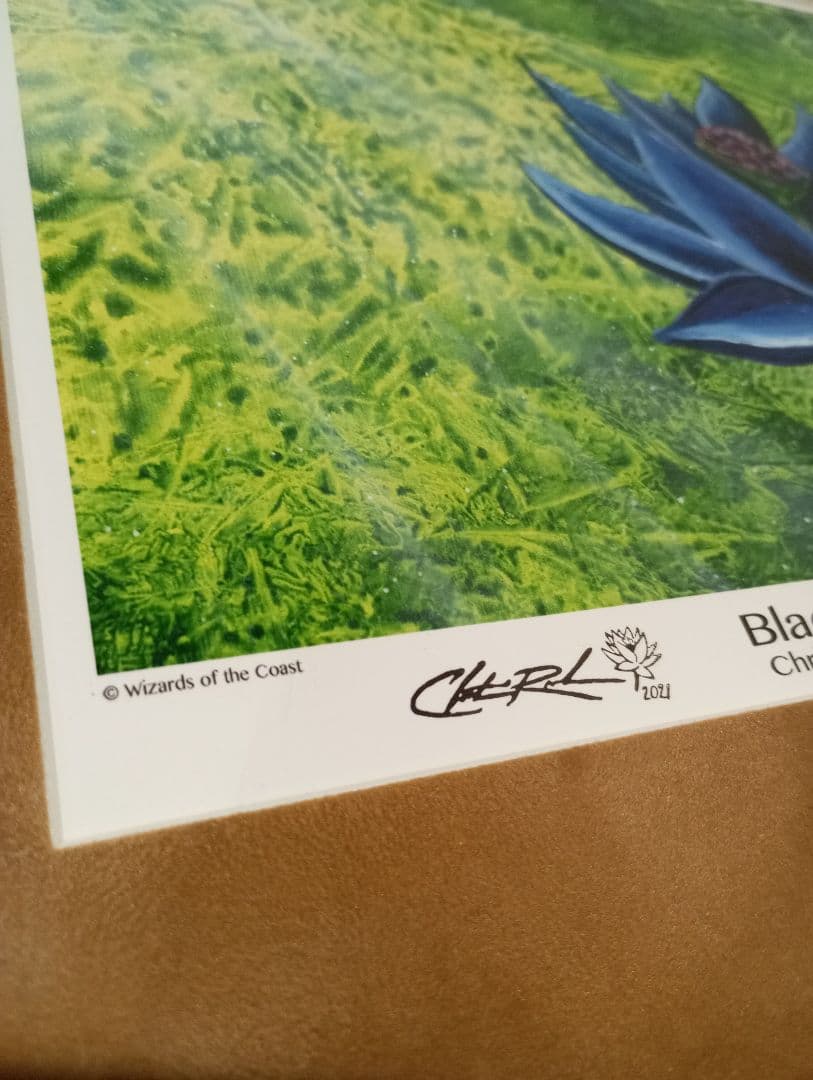 Black Lotus アートプリント 額付き