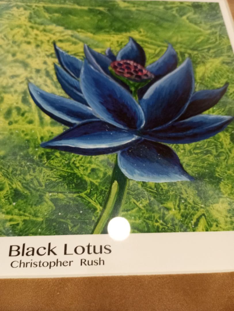 Black Lotus アートプリント 額付き
