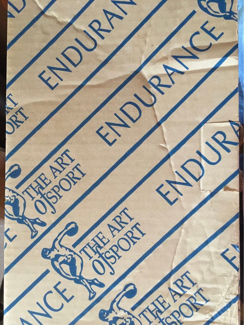 アイルトン・セナ　スタチュー