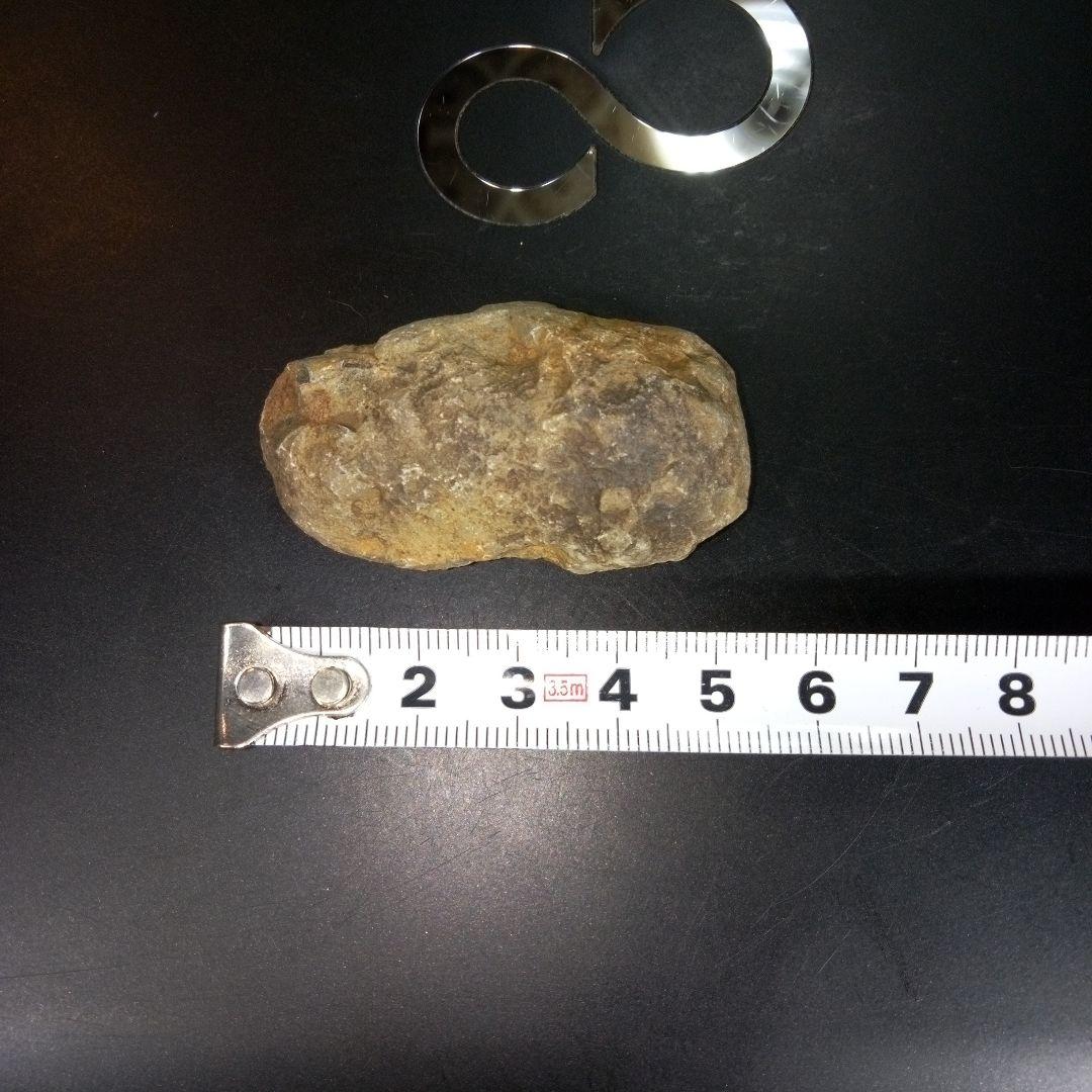 三葉虫　化石　fossil　ボリビア　trilobite　三葉虫綱　三葉虫管理⑤