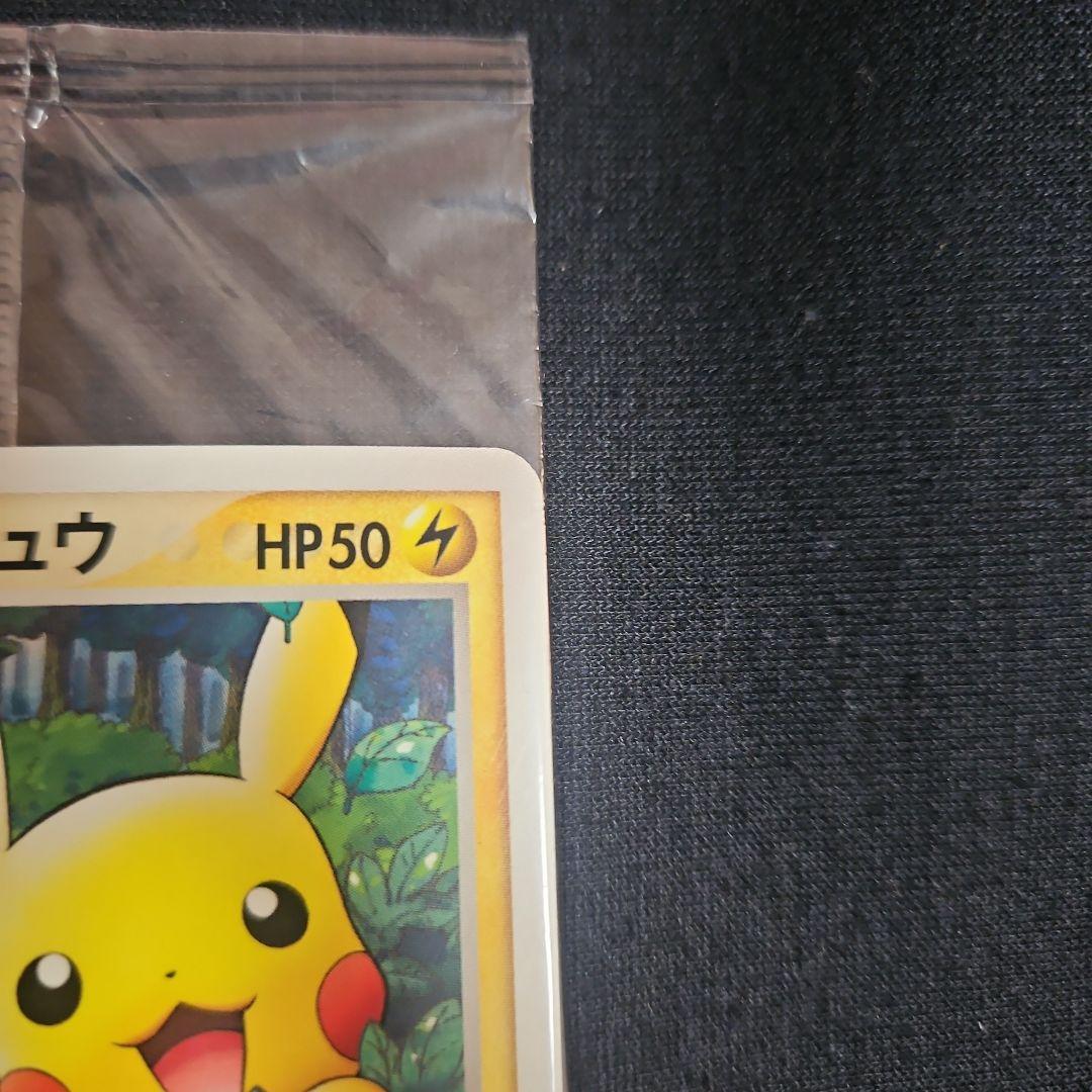 【本日限定超大特価】 未開封 ポケパークのピカチュウ
