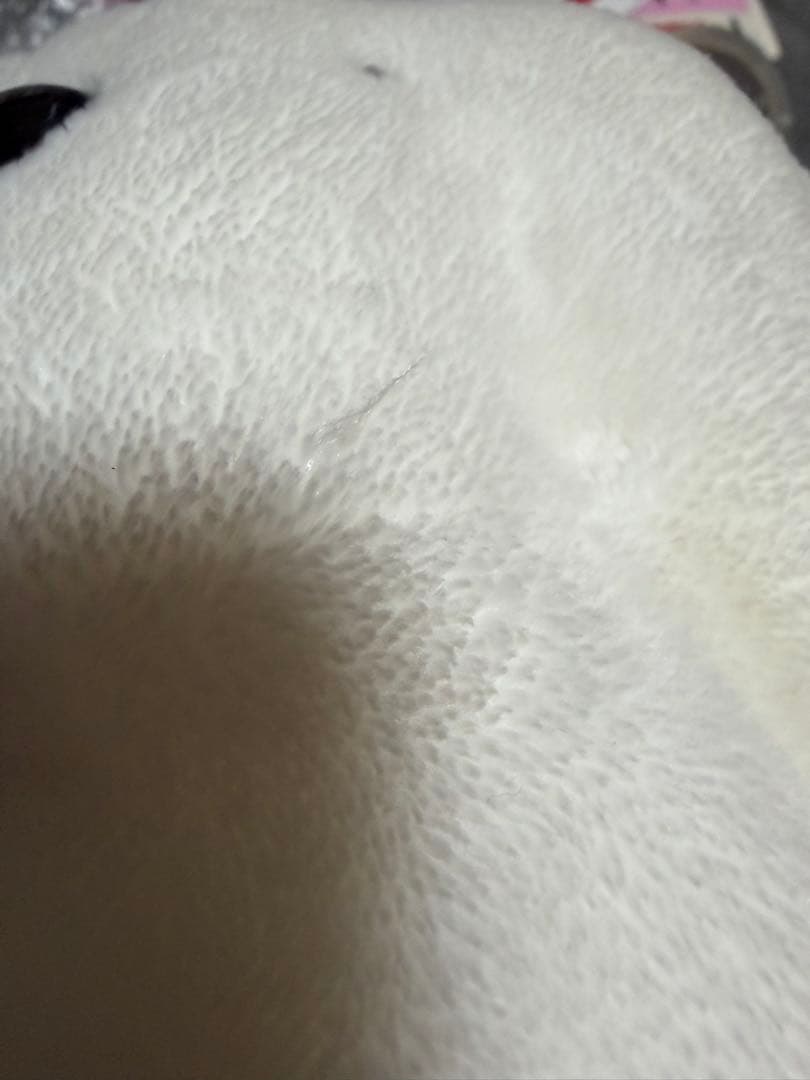 しろたん　20周年　復刻しろたん抱き枕　ぬいぐるみ