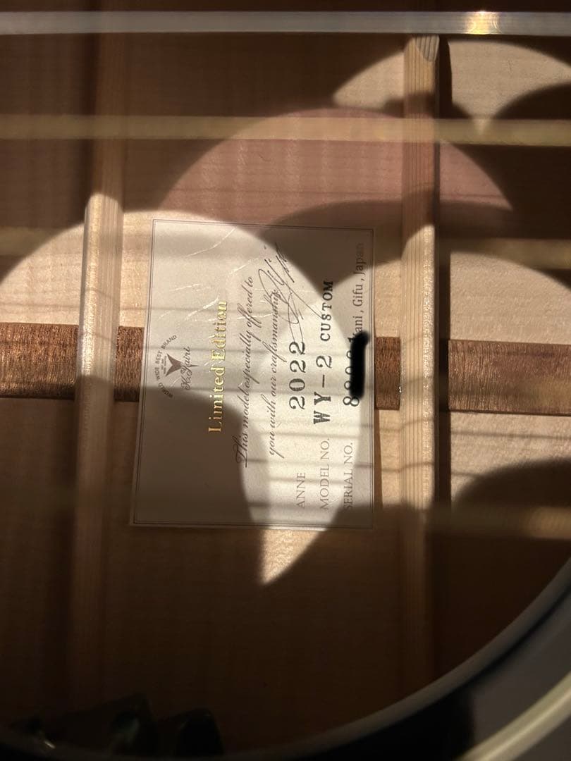 K,yairI WY-2 Custom エレアコ