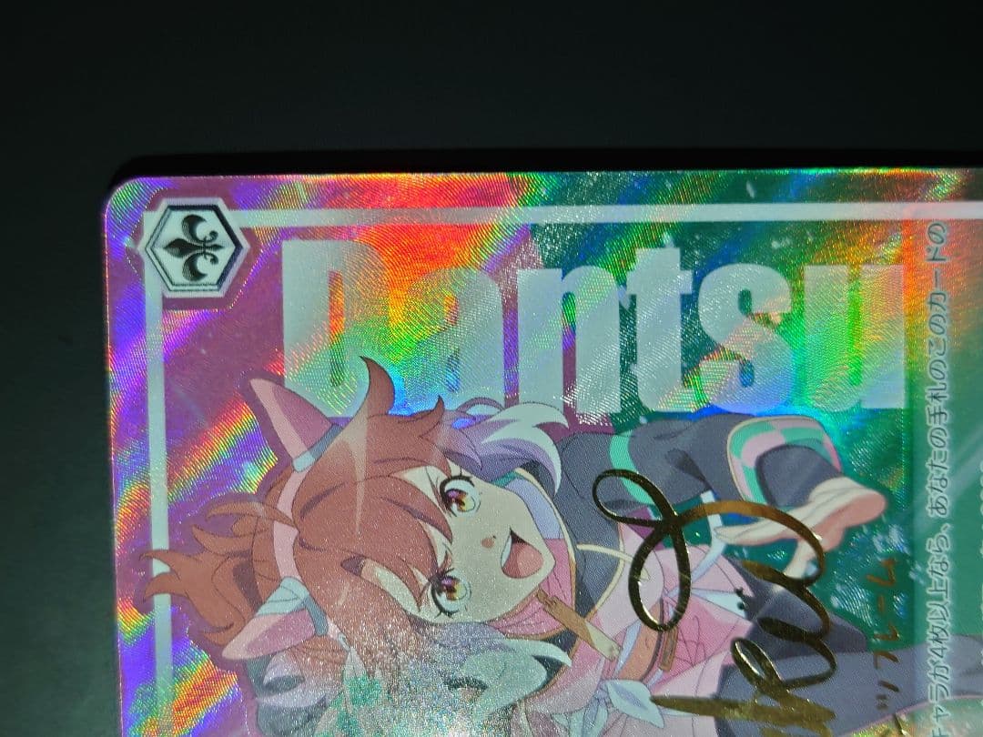 舞台の真ん中に　ダンツフレーム　spサイン　ヴァイス　ウマ娘