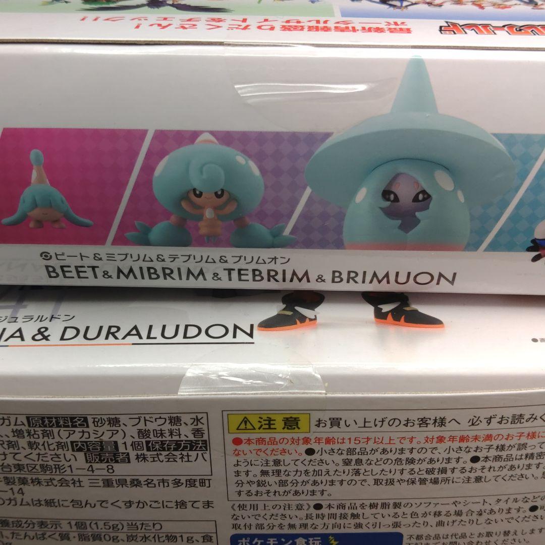 ポケモンスケールワールド　ビート&ミブリム&テブリム&ブリムオン　キバナ