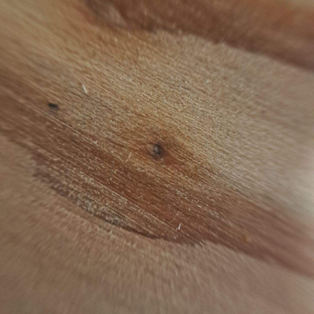 ナチュラル木製ベンチ 約78センチ