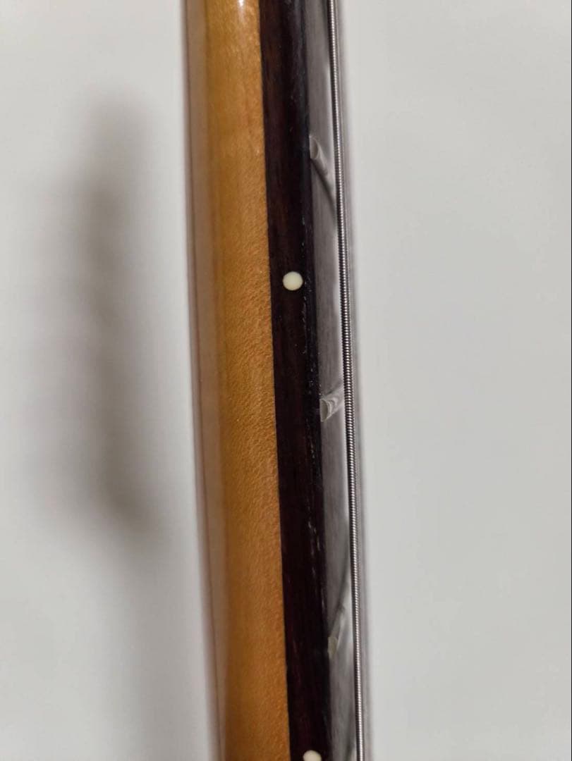 FERNANDES TEJ エレキギター