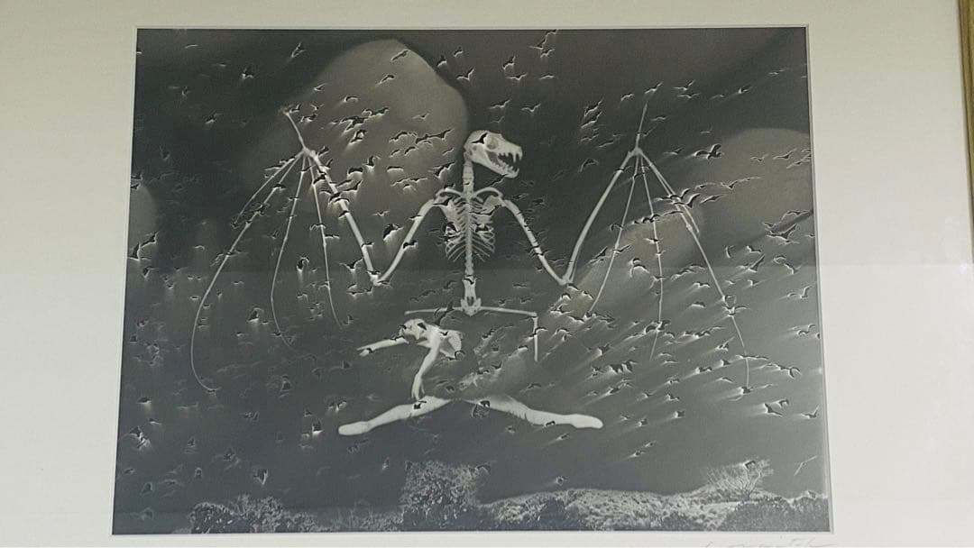 内藤忠行　写真原画　蝙蝠　オリジナル