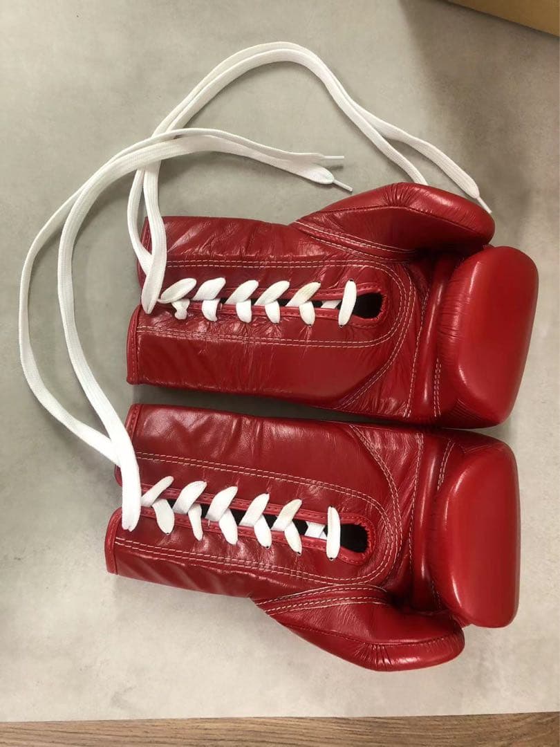 値下げ)フェアテックス(fairtex)社　プロ試合用グローブ　紐式　10オンズ