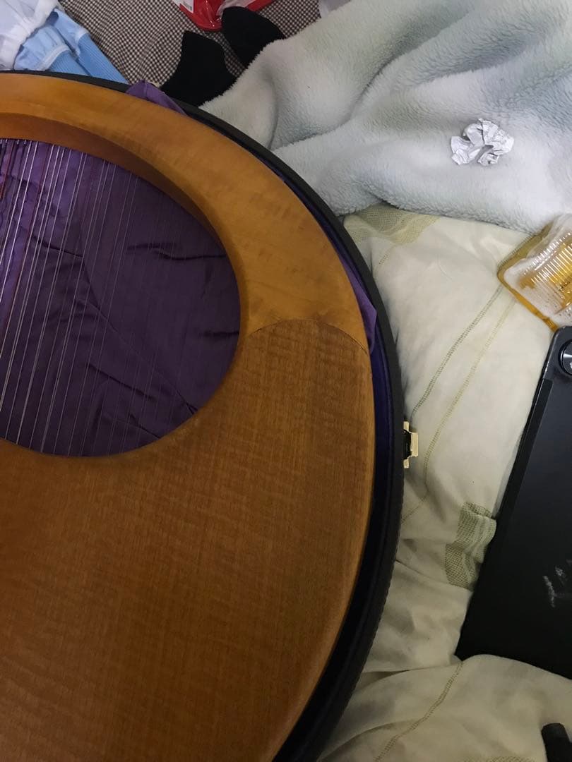 最終値下げ　19日発送　ゲルトナーテノーラライアー46弦