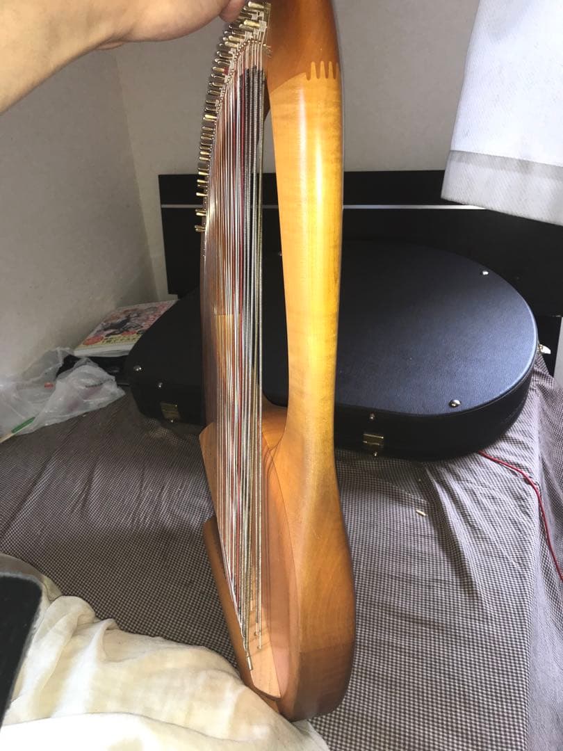 最終値下げ　19日発送　ゲルトナーテノーラライアー46弦