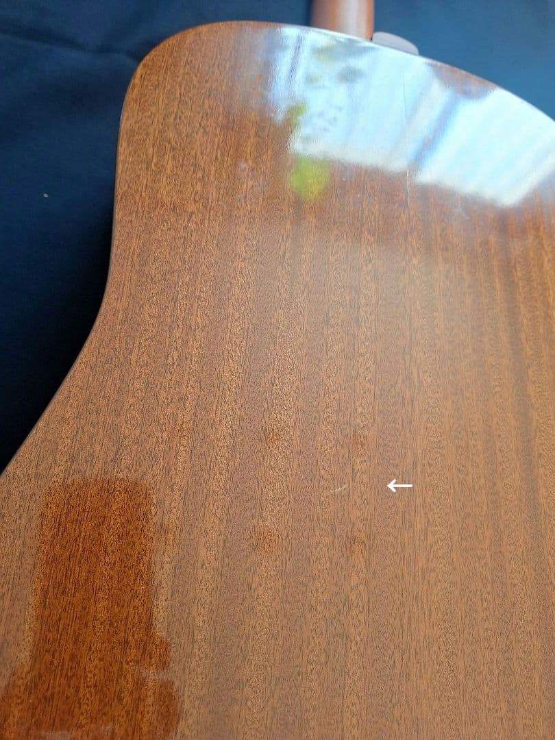 Seagull SM6 Spruce シーガル made in 