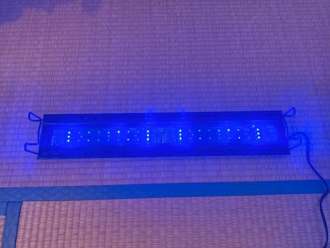 Grassy Wing2 60 Marine/グラッシーウィング2 60マリン