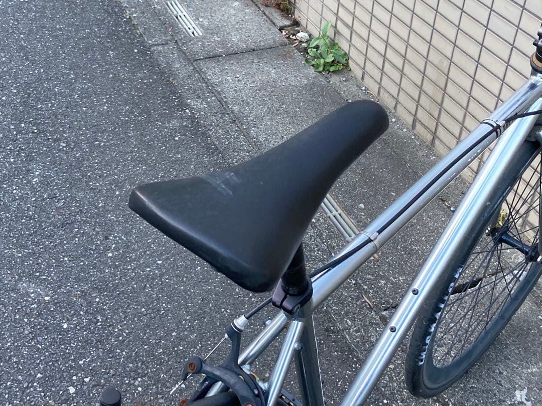 PURE CYCLES ピュアサイクルズ ピストバイク フリーor固定 Wコグ