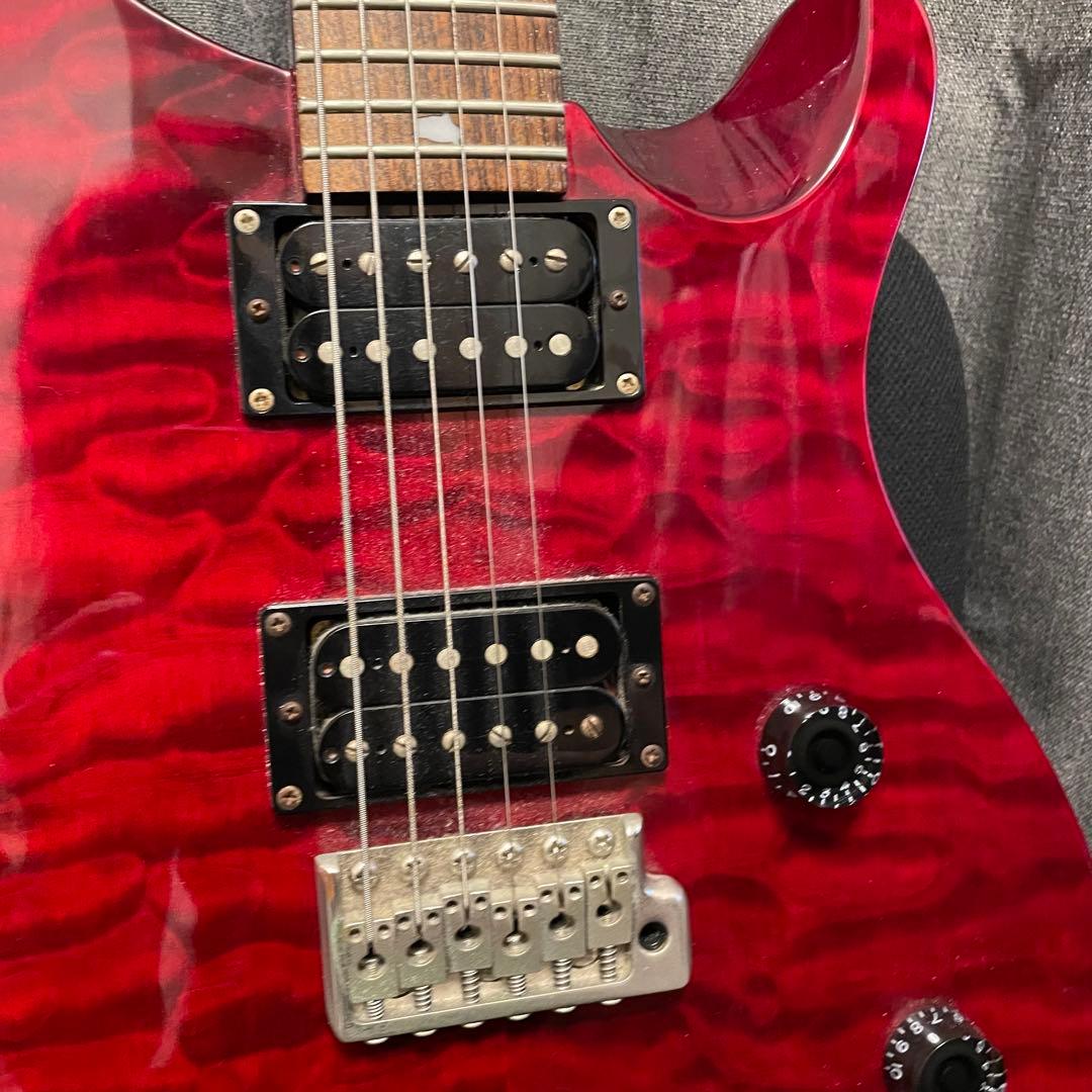 ギター PRS SE Custom 24 25th anniversary Guitar