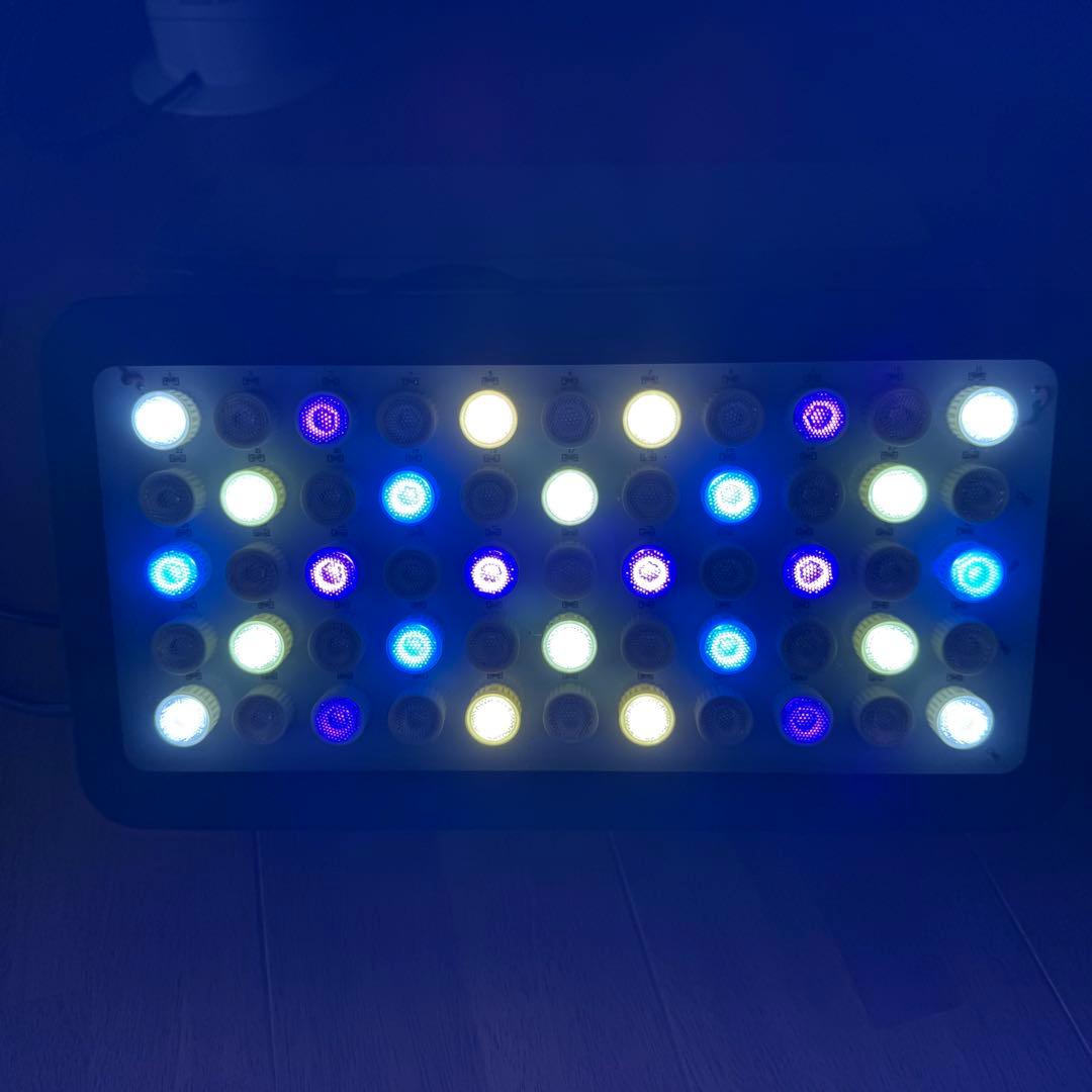 ブラックボックス　ニッソータイマーのセット