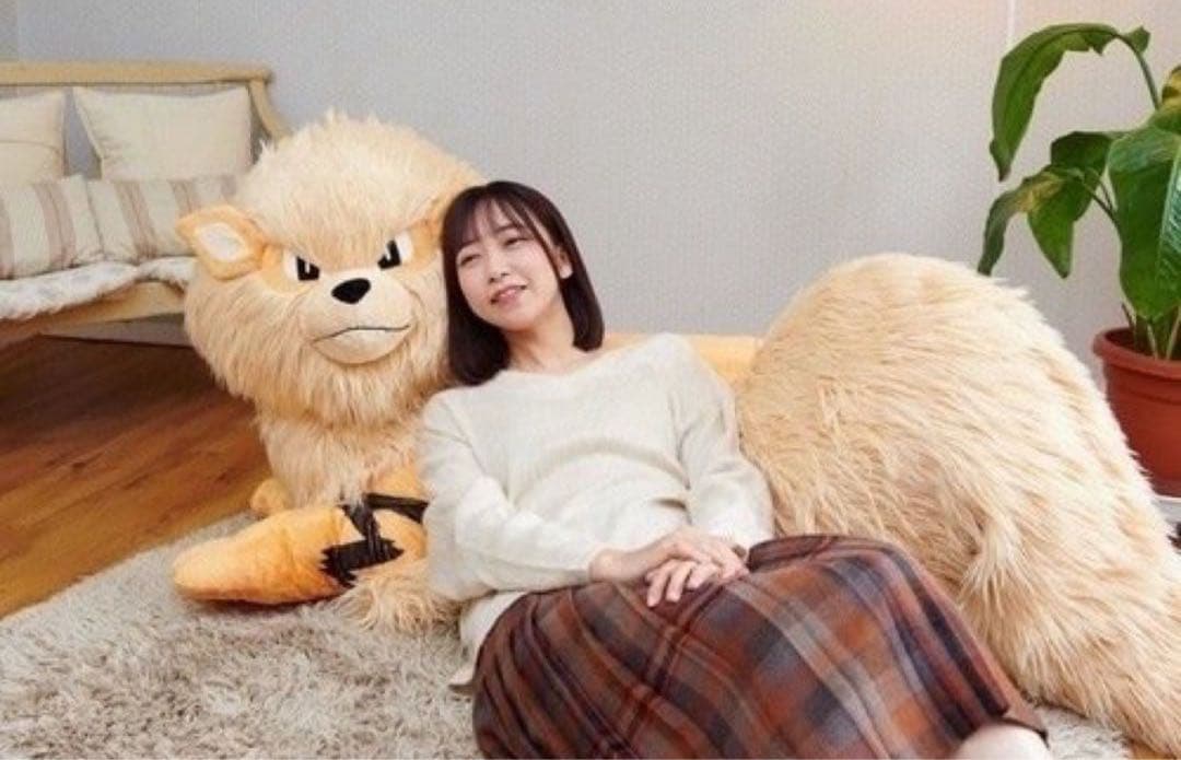 ポケモン添い寝ウインディ