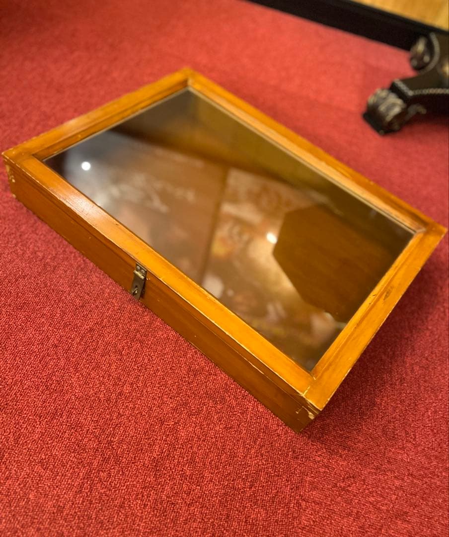 ガラスケース ウッド ショーケース 大きめ コレクションケース オブジェ