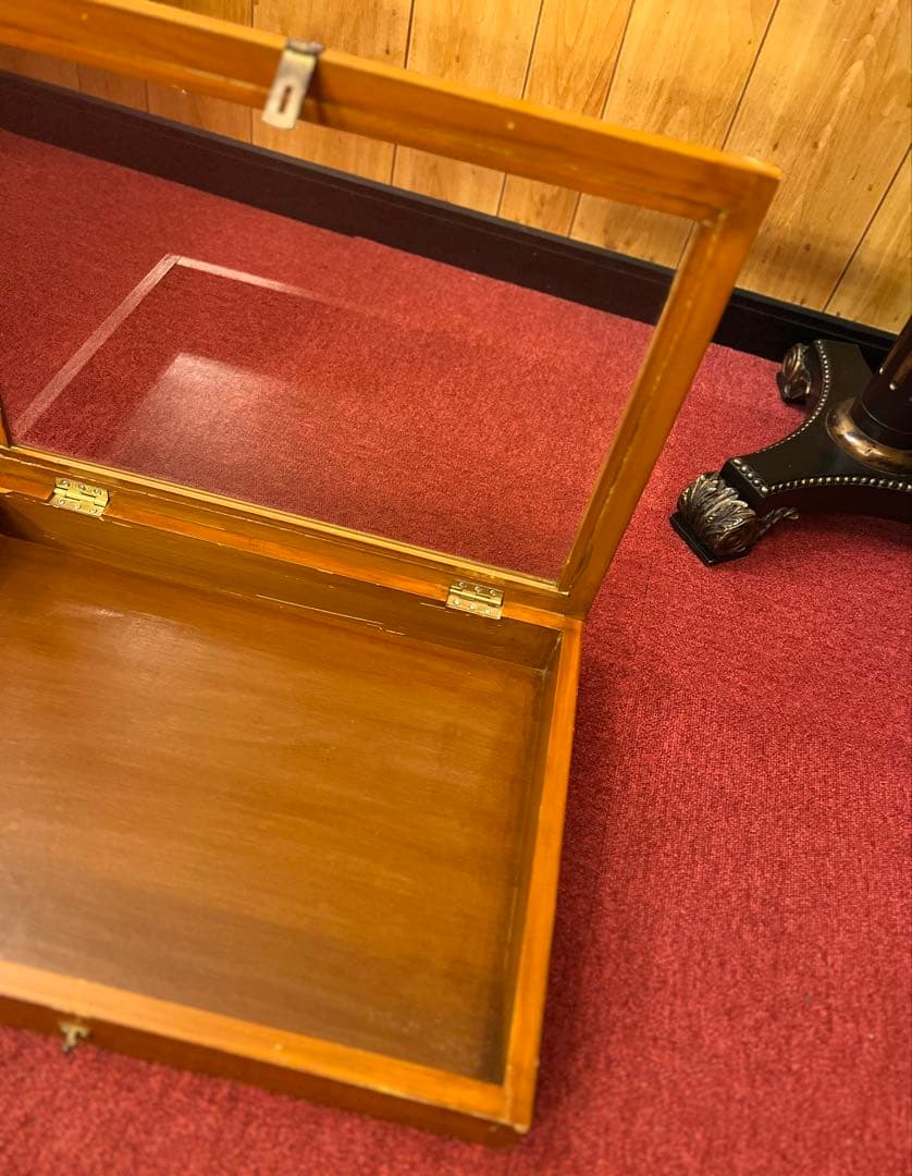 ガラスケース ウッド ショーケース 大きめ コレクションケース オブジェ