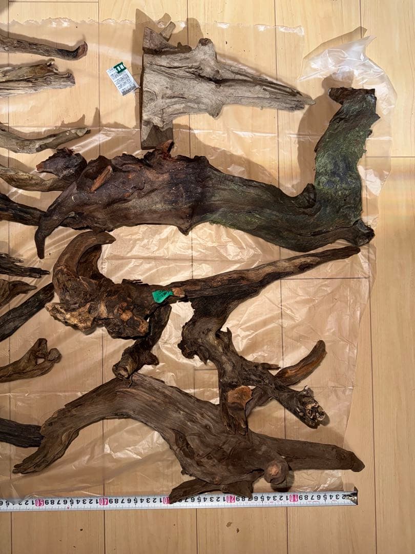 水槽用流木 複数セット