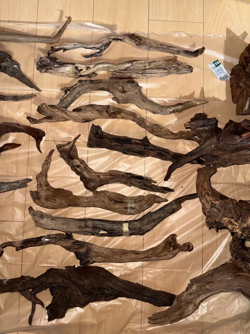 水槽用流木 複数セット