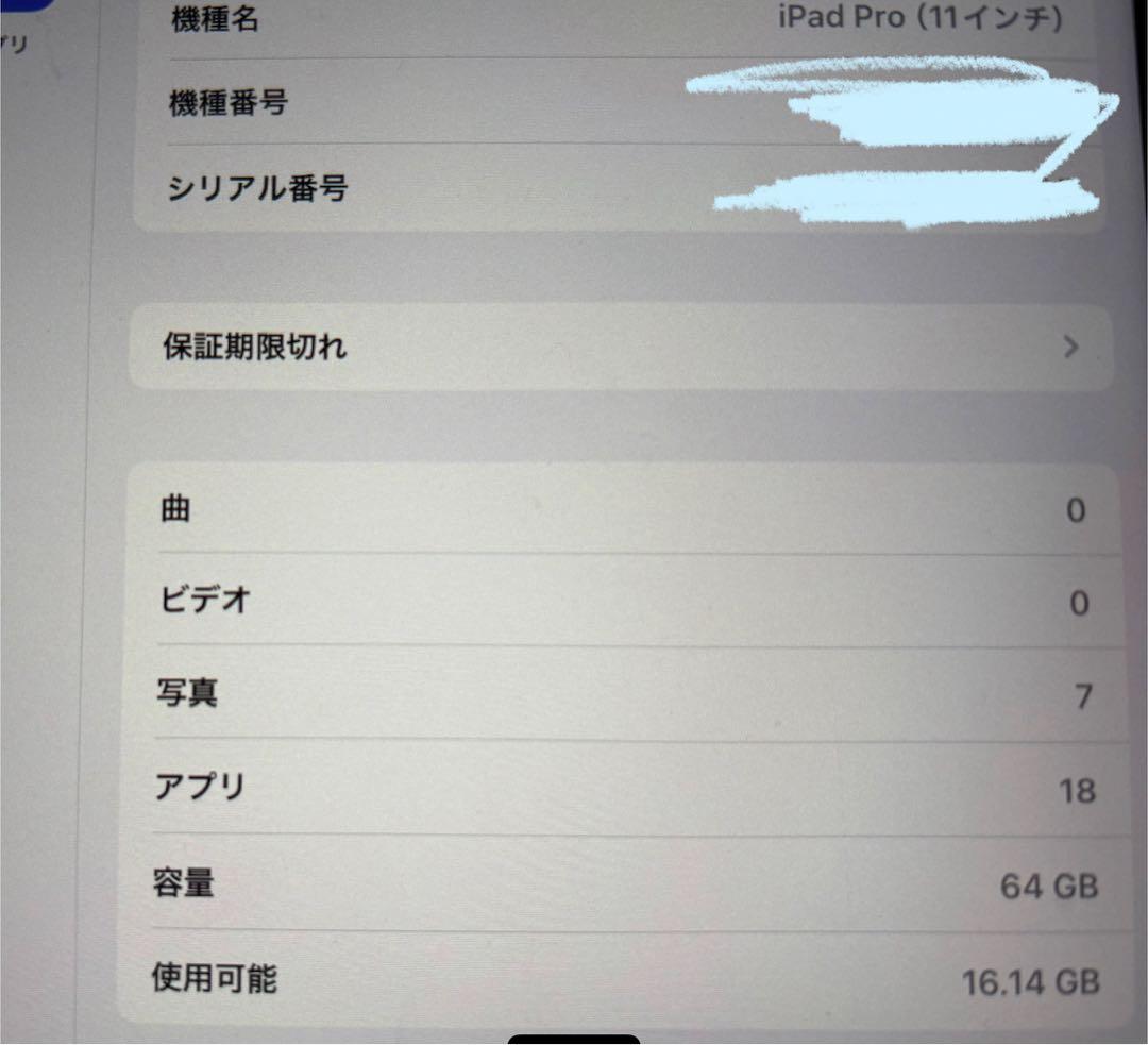 iPad Pro (11インチ) 64GB