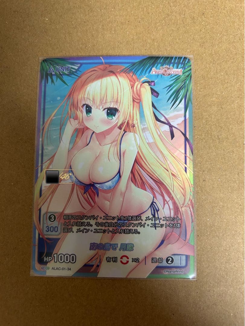 DIVINE CROSS ディバインクロス 南の島で 月詠 sec