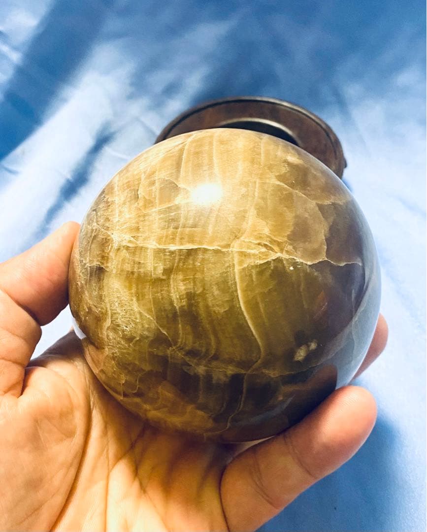 珪化木大宝珠②