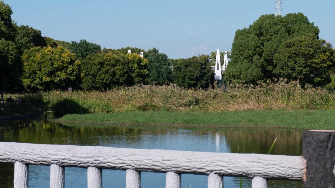 Panasonic LUMIX DMC-GF5 レンズキット スマホ転送OK