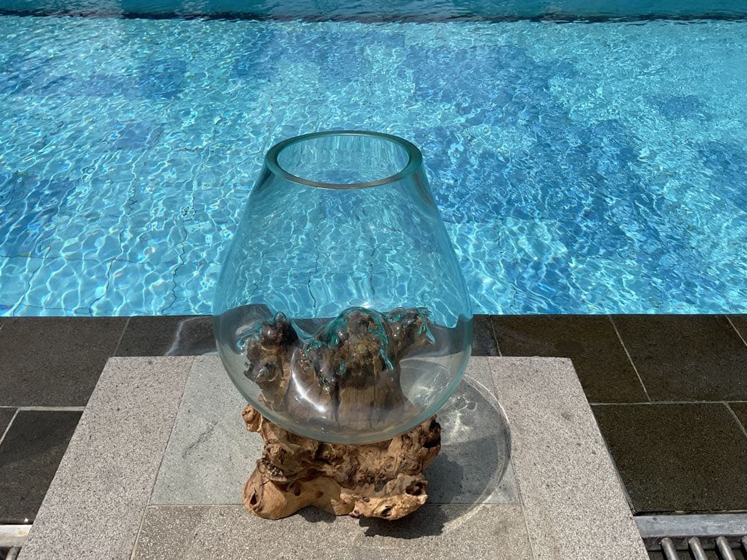 【新入荷】フィッシュボール(流木ガラス水槽)L size